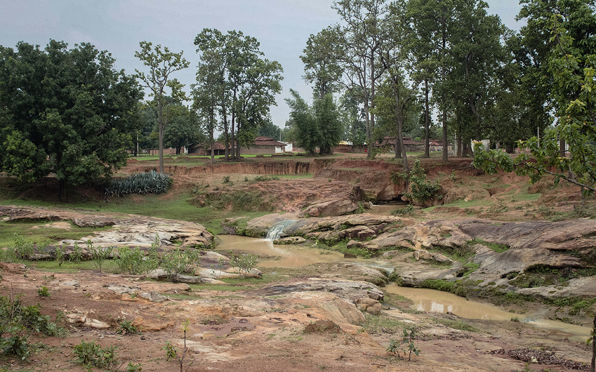 Hasdeo Arand Forest in Chhattisgarh
