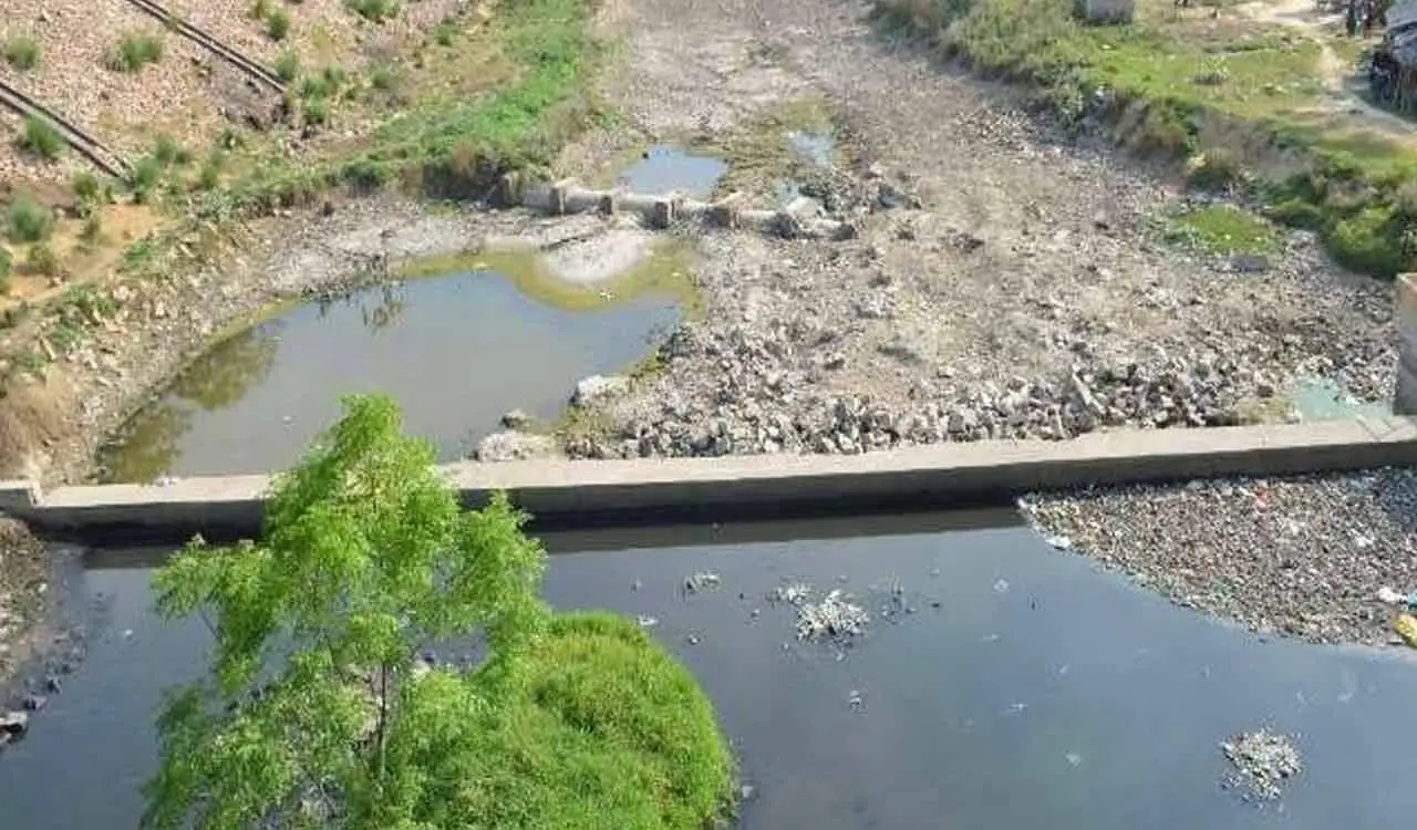 Kukrail River and Forest in Lucknow